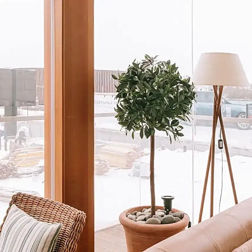 Терраса загородного дома с панорамным остеклением