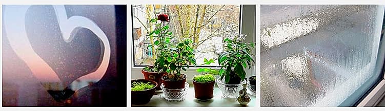 причины возникновения конденсата на окнах