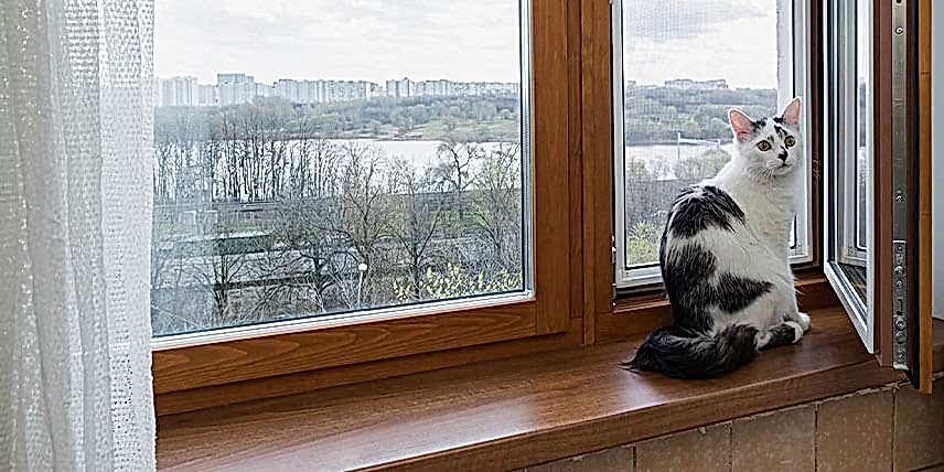 Какого размера должен быть пластиковый подоконник - 9 Какого размера должен быть пластиковый подоконник - 9