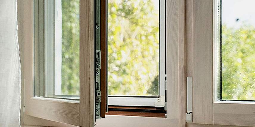 Как защитить питомца от падения из окна: сетка «Антикошка  - 1