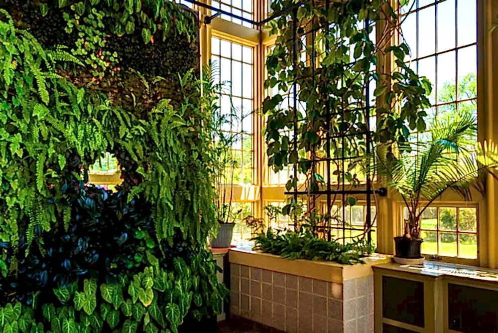 Зимний сад - проектирование и дизайн